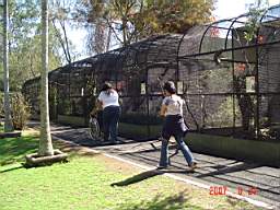 DSC04917.JPG