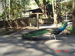 DSC04932.JPG
