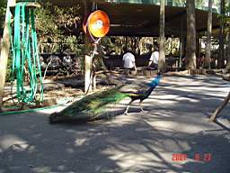 DSC04933.JPG