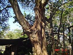 DSC04934.JPG