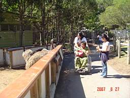 DSC04952.JPG