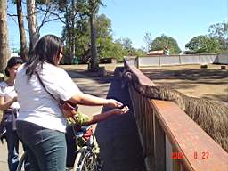 DSC04955.JPG