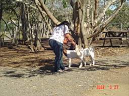 DSC04996.JPG