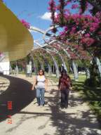 DSC05802.JPG