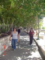 DSC05816.JPG