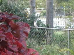 DSC06855.JPG