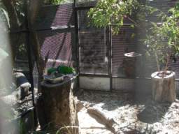 DSC06873.JPG