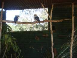 DSC06874.JPG