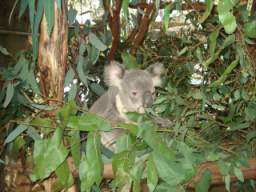 DSC06876.JPG