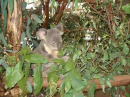 DSC06878.JPG