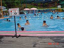 Deroy, Bob, Sebby and Max in the pool.